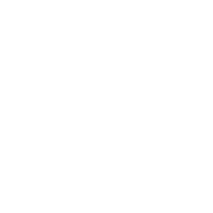 Download literature